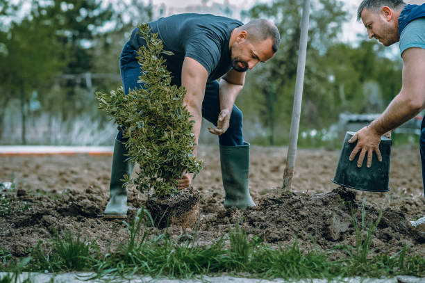 Soil Testing and Treatment in Morgan Hill, PA